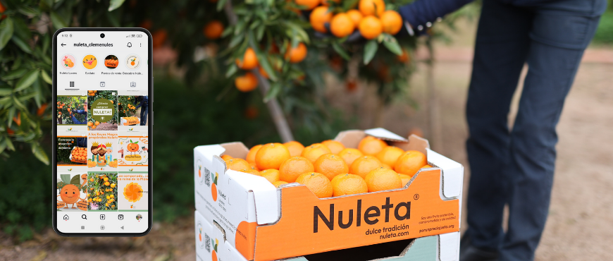 Caso de Éxito en redes sociales: Cómo Nuleta mejora su posicionamiento de marca online